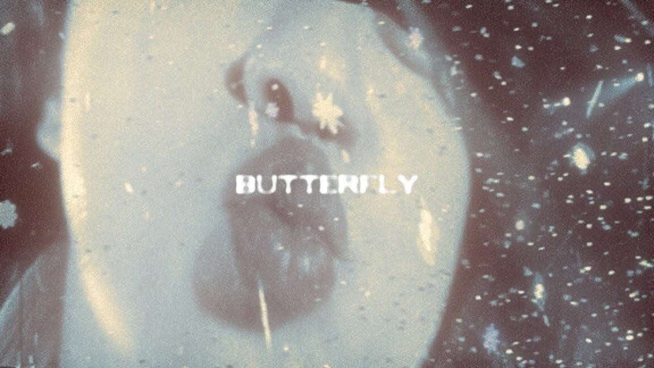 bts - butterfly but you're in an empty arena