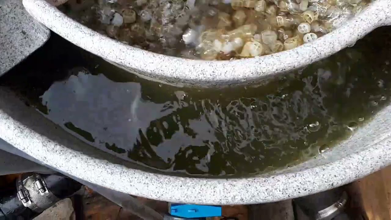 The pond is now fully stocked and problems with the EazyPod air cleaning system.