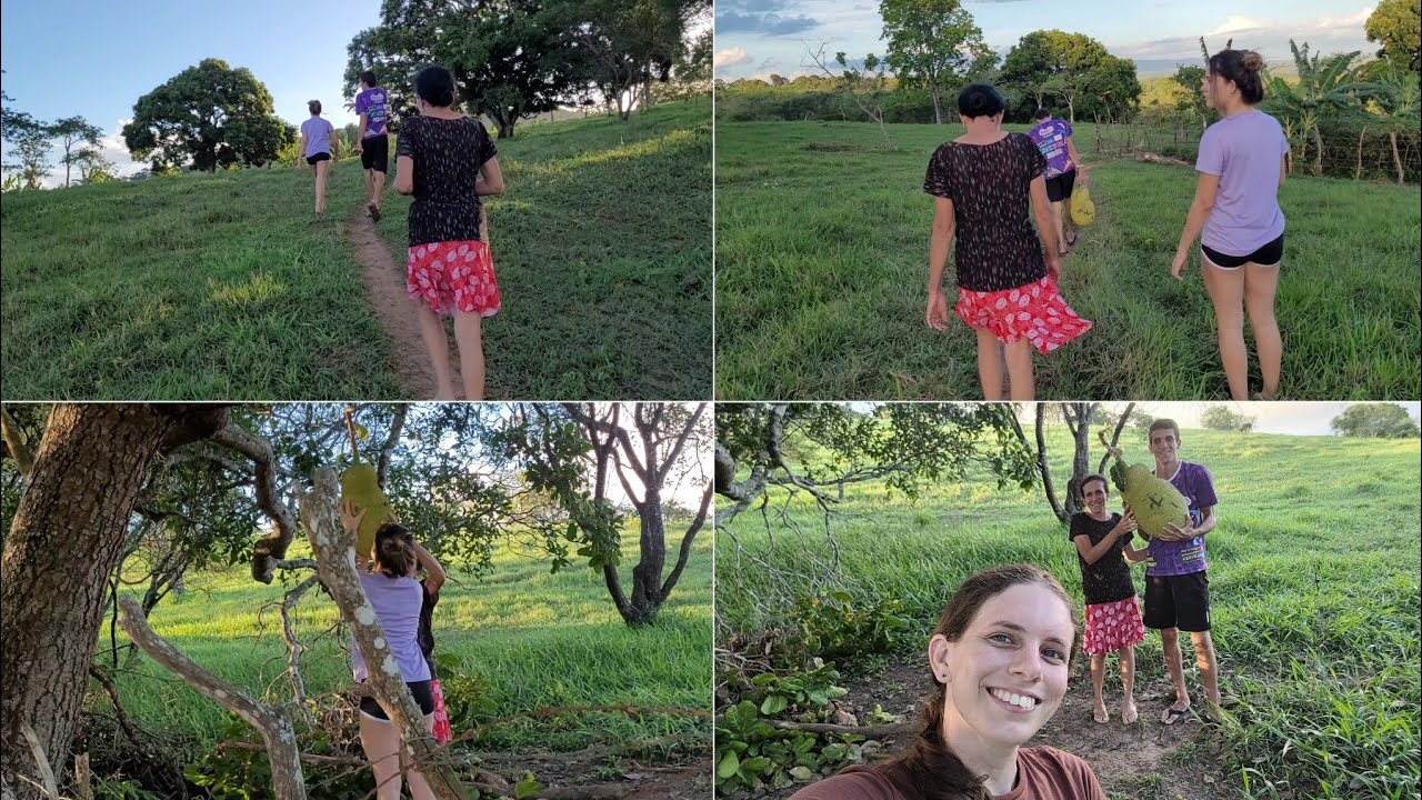 EU MÃE VITOR E MARINA FOMOS TIRAR JACA 