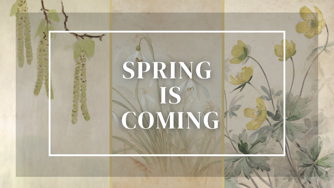 Frame TV Art  - Spring Is Coming (8 Illustrations)