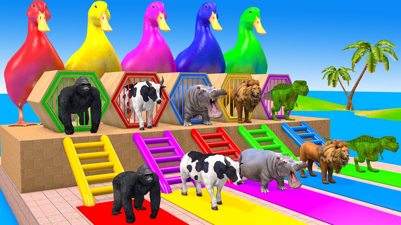 Long Slide Game With Cow Elephant Gorilla Hippopotamus Tiger 3d Animal Game Funny 3d Animals