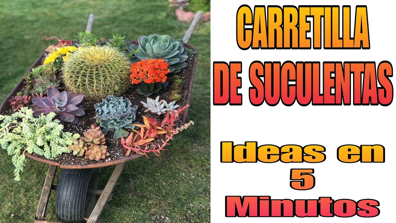 CARRETILLA DE SUCULENTAS; DECORACION PARA EL JARDÍN; IDEAS EN 5 MINUTOS, MANUALIADES,