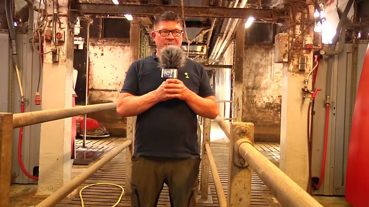 Agrargesellschaft Ruppendorf: Tierproduktion
