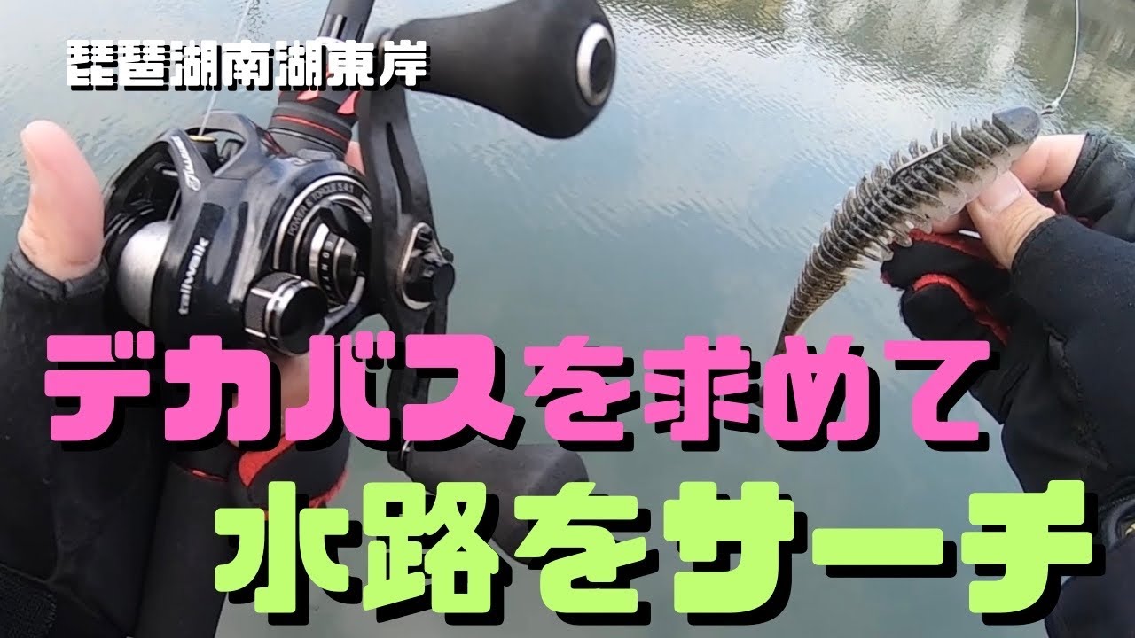 【琵琶湖バス釣り】南湖水路の夕マズメ釣行！デッドスローラーフルコンタクトでデカバスだけを狙う！