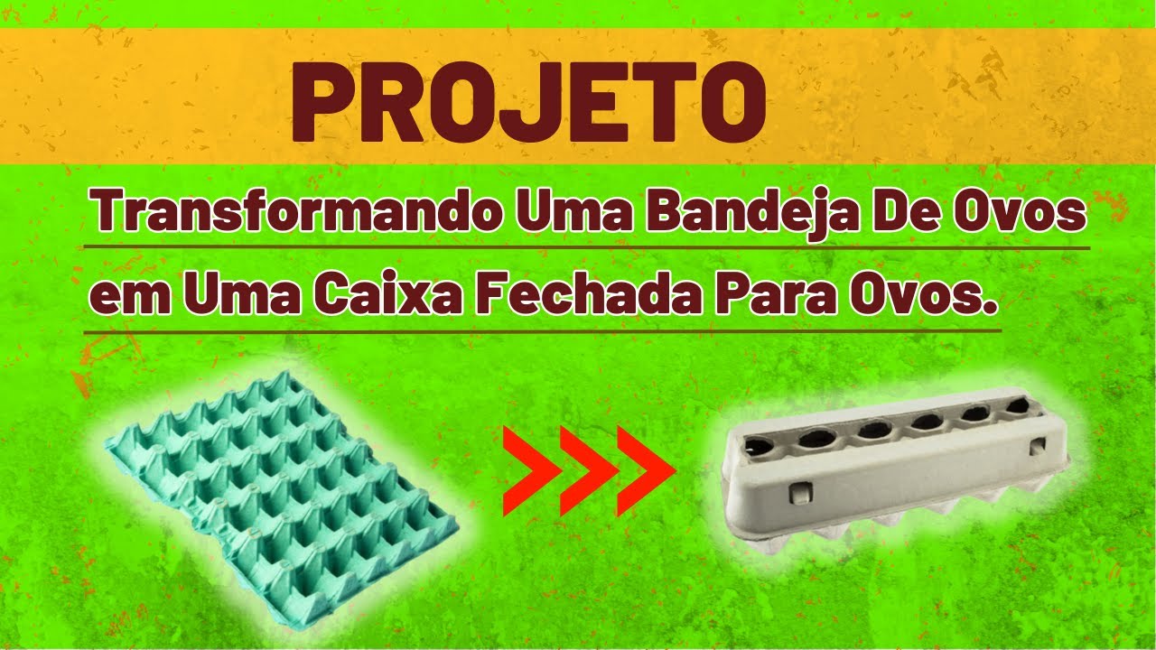 Como Transformar uma Bandeja de Ovos Numa Caixinha Fechada. Para 12 Ovos. Como Fazer Caixa Para Ovos