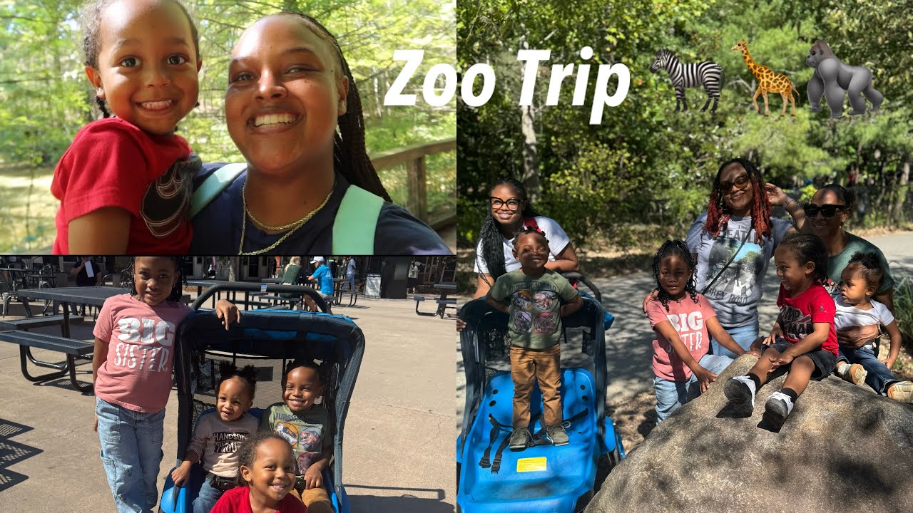 Birthday Weekend: Zoo Trip 🦓🦒🦍