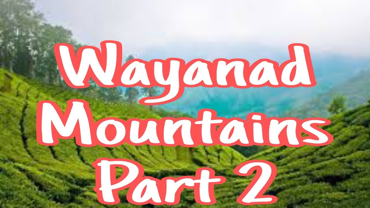 جولة بين جبال ويناد بولاية كيرالا الهند الجزء الثاني Mountains Shadow - A Dreamy Vacation In Wayanad
