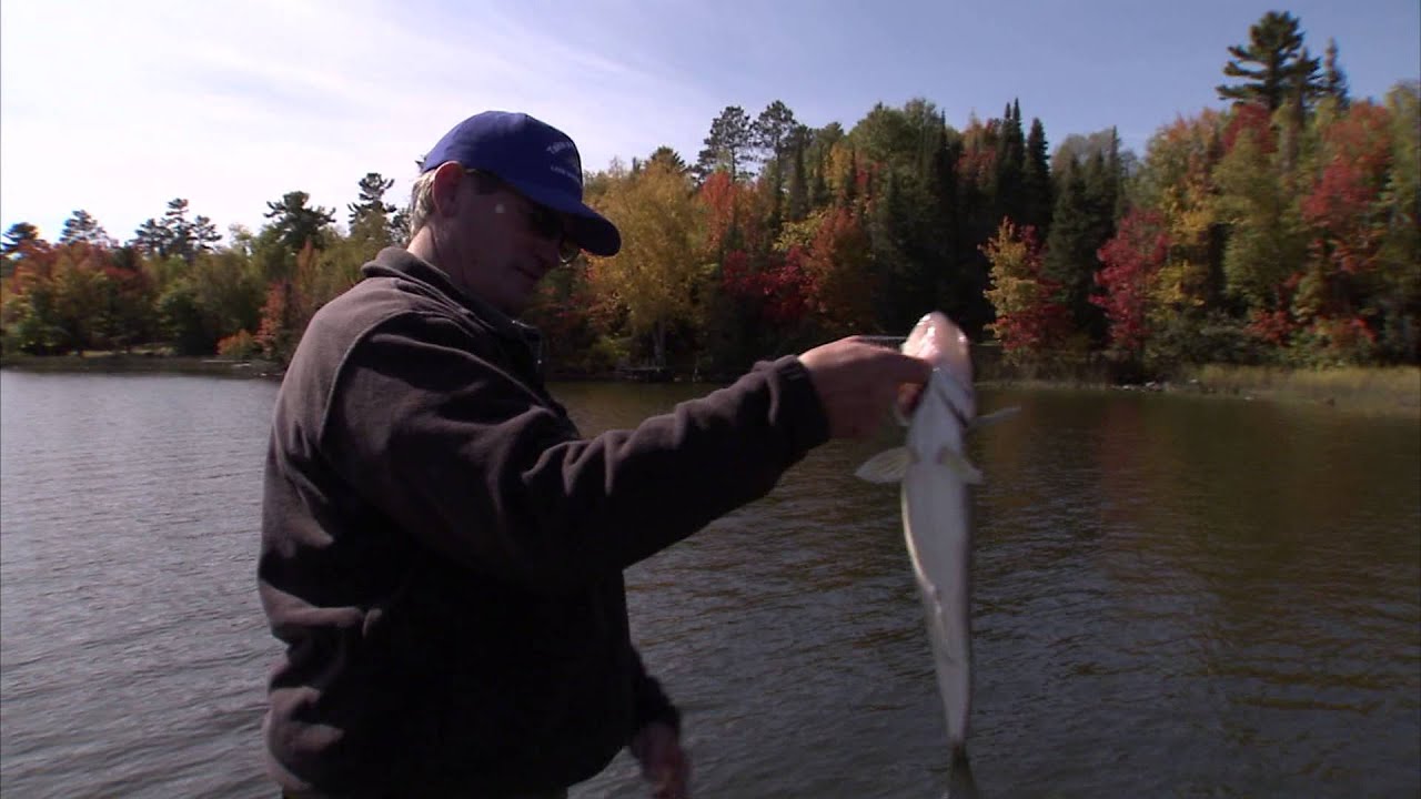 Fishing the Midwest with Bob Jensen 2013: Episode 2 - "Eyes on Vermilion"