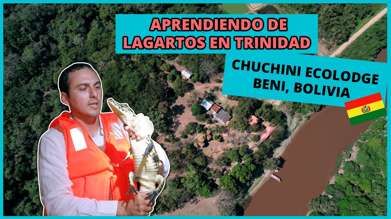 Aprendiendo de CAIMANES & LAGARTOS en CHUCHINI ECOLODGE 🐊Conservaci&oacute;n en TRINIDAD BENI BOLIVIA