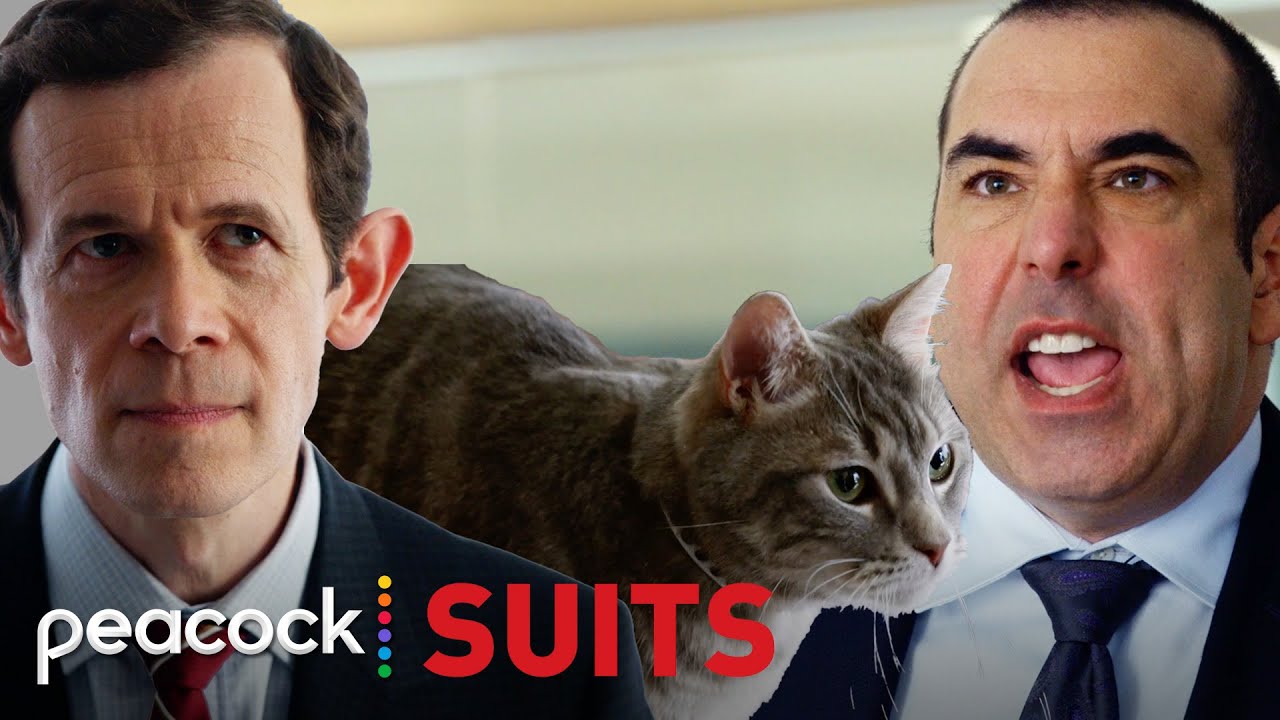 Louis and Nigel's Cat Fight | Suits