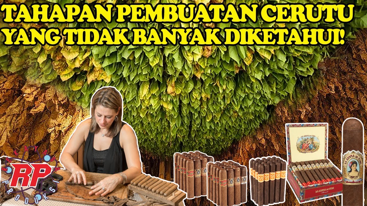 RAHASIA DIBALIK PEMBUATAN CERUTU KELAS DUNIA! PROSESNYA BIKIN MELONGO!