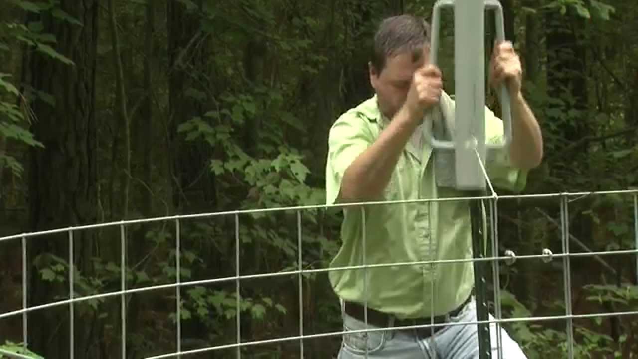 Wild Pigs: How To Build A Corral Trap