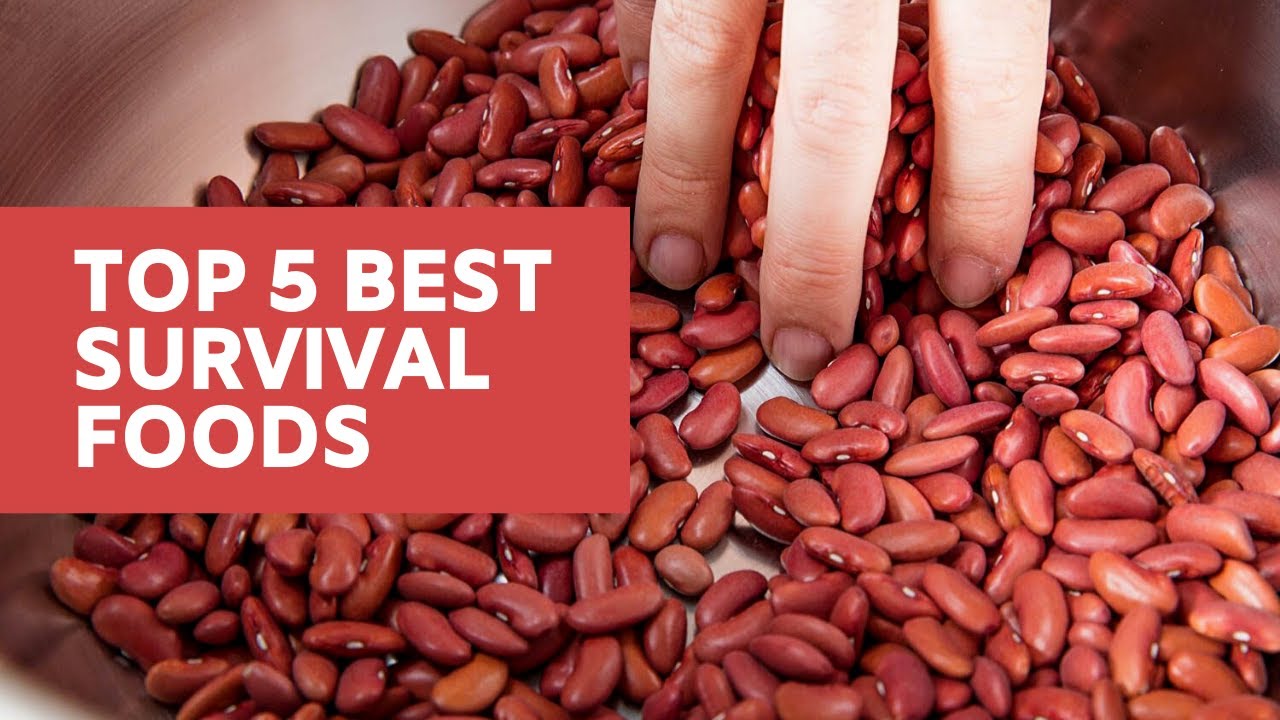 Top 10 Best Survival Foods.