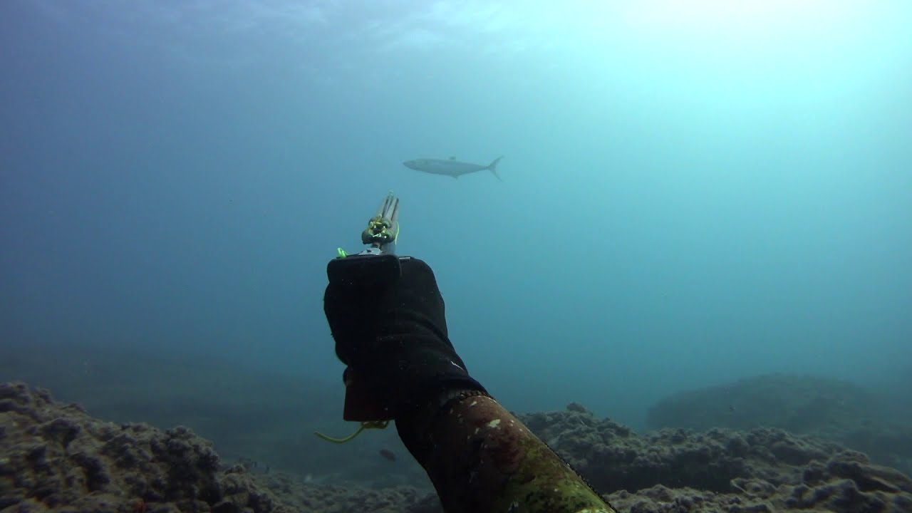 Akdeniz Zıpkınla Ceylan Avı (2020 spearfishing)