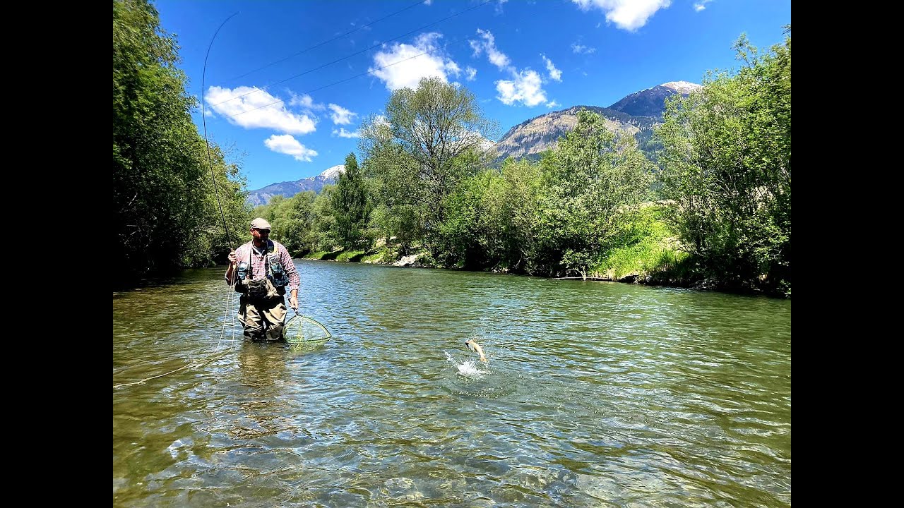 FLY FISHING - A pesca in Austria
