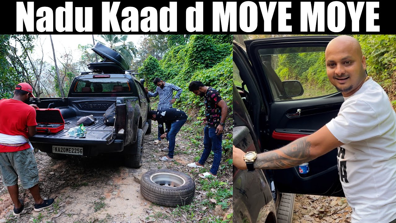 Forest da middle d MOYE MOYE andh 😅