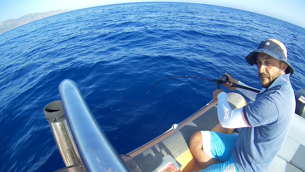 Live Strike!!! Tai Rubber Pagrus pagrus!