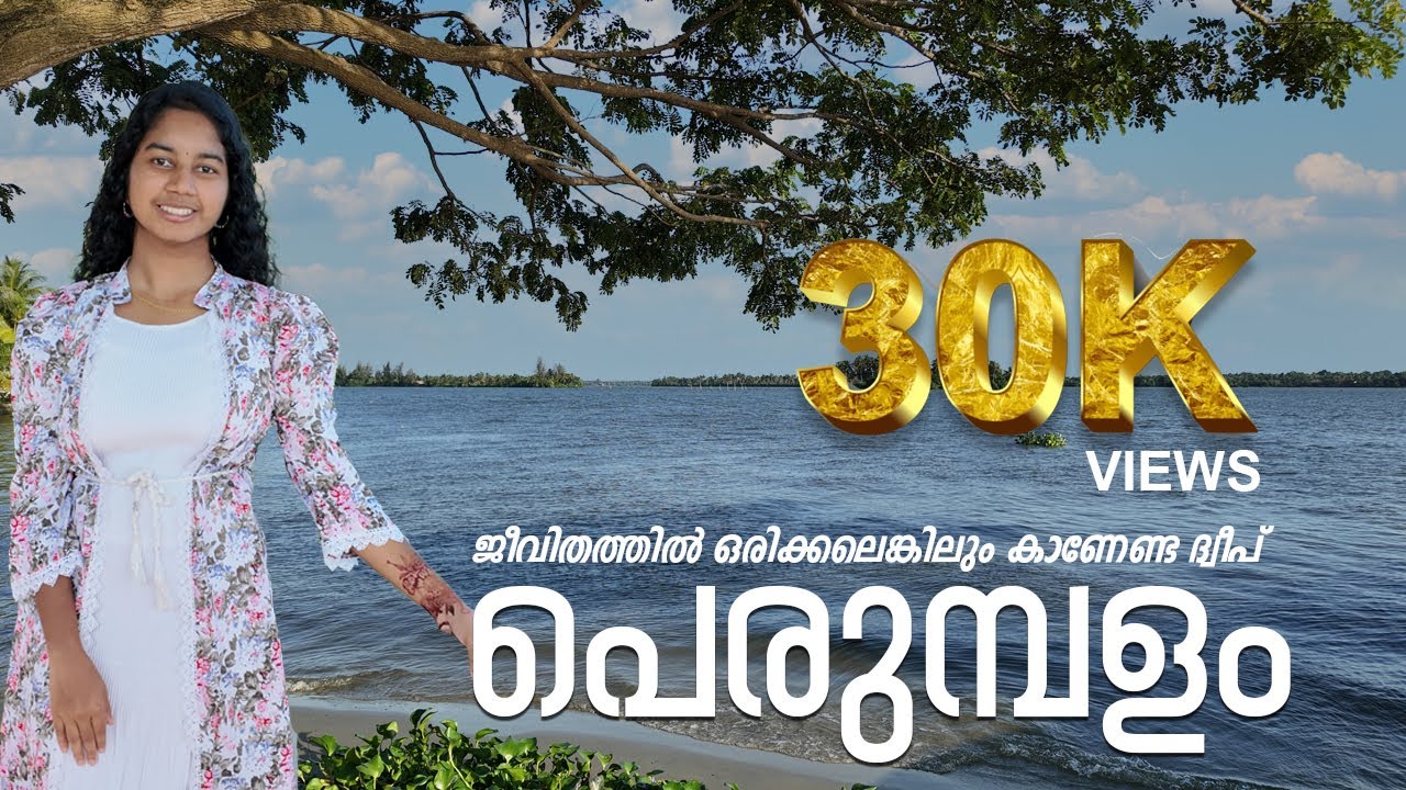 ജീവിതത്തിൽ ഒരിക്കലെങ്കിലും പോകേണ്ട ദ്വീപ് പെരുമ്പളം  #perumpalam