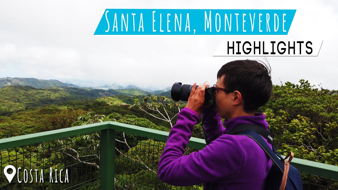 Monteverde Highlights 🇨🇷 Santa Elena Nebelwald 🌳