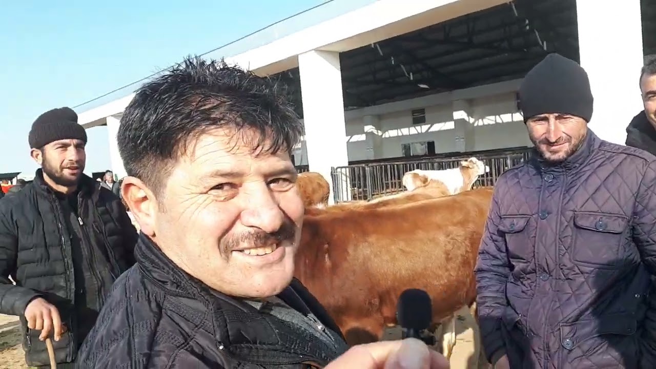 24 OCAK 2023 BAYBURT HAYVAN PAZARI. PAZARIN  NABZINI TUTTUK..Haber 69 Dergisi