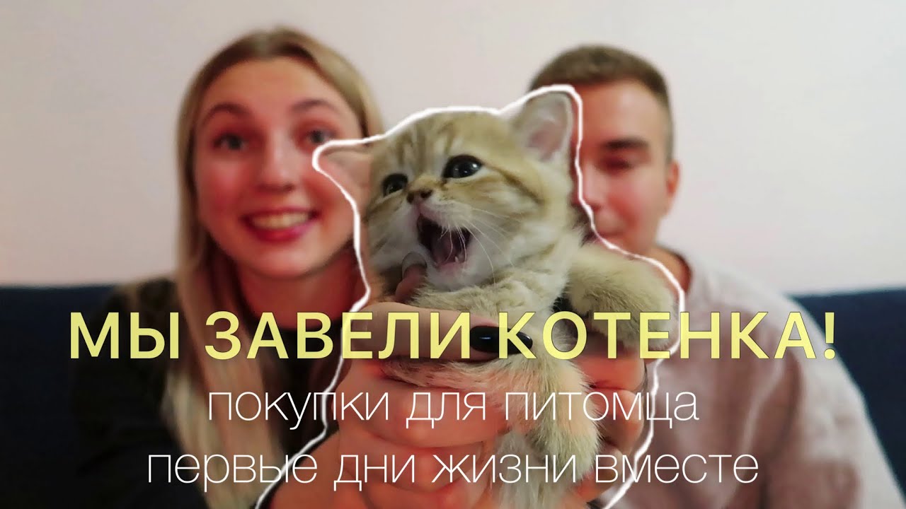 МЫ ЗАВЕЛИ КОТЕНКА // первые дни с ним / покупки для малыша 💗