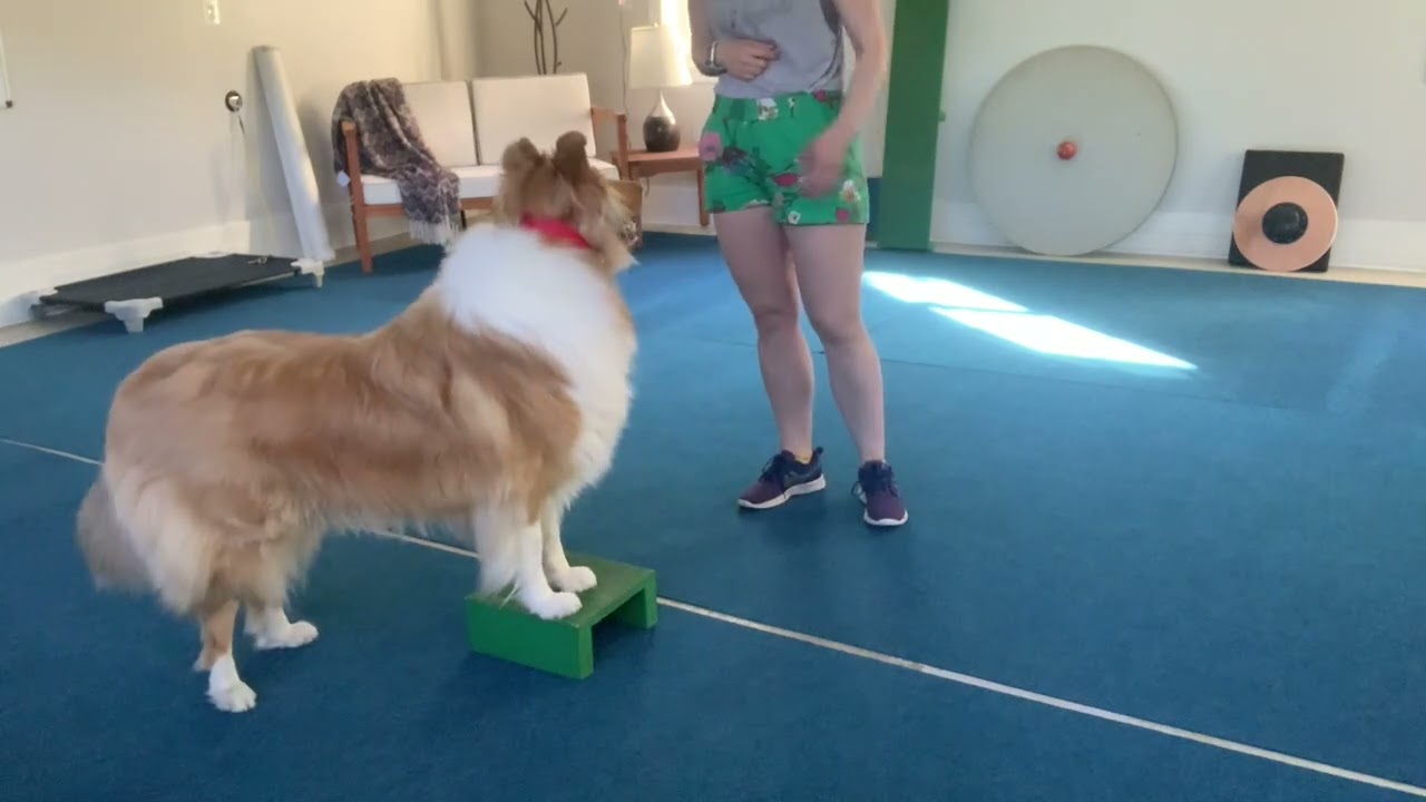 Pru Does Advanced Tricks