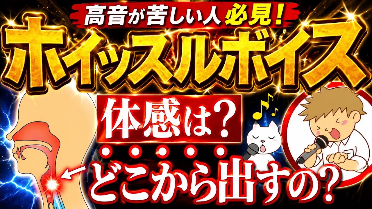 【ホイッスルボイス出し方男】体感、方向性、スーパーヘッドとの違い