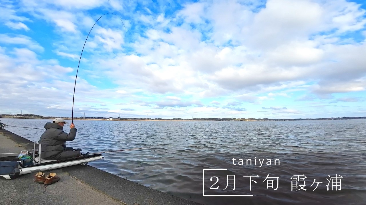 2月中下旬　霞ヶ浦 大井戸湖岸公園