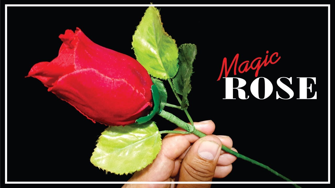 Cómo hacer aparecer una Rosa mágicamente| Tutorial de 🅼🅰🅶🅸🅰