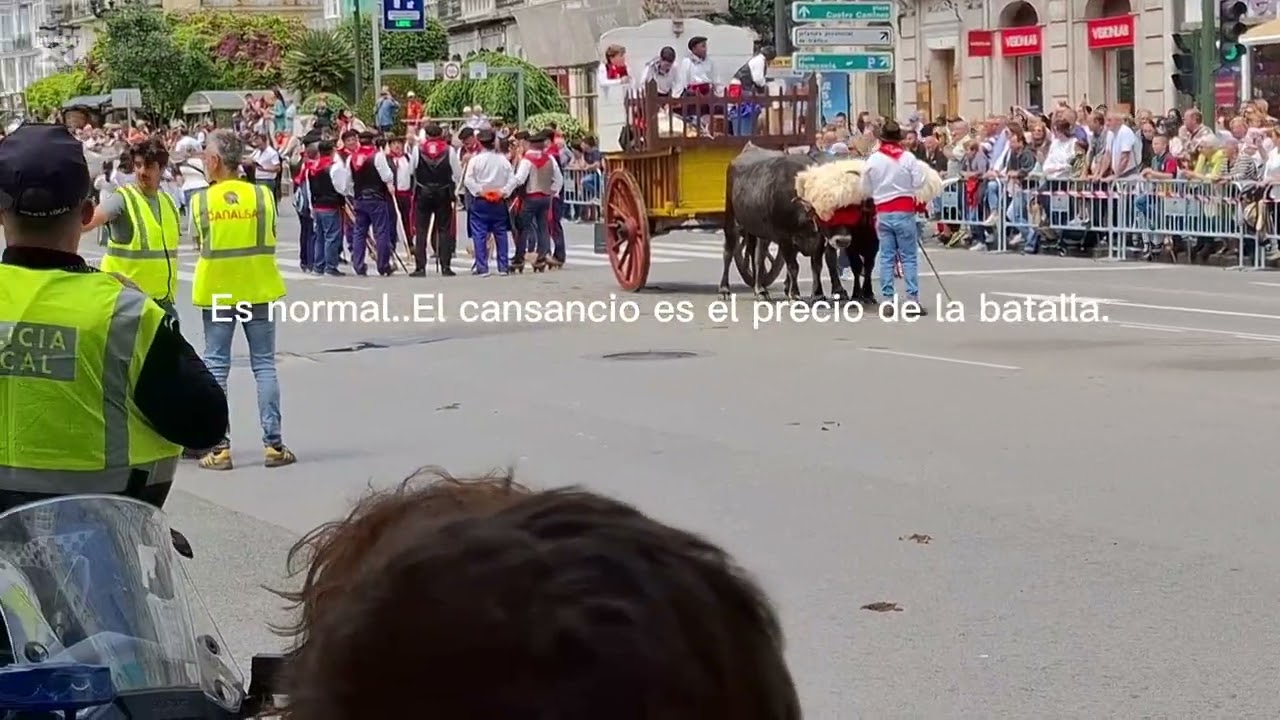 20 de febrero de 2026