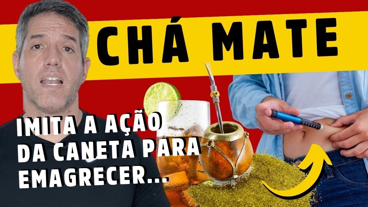 ERVA MATE! Descubra os 7 IINCRÍVEIS BENEFÍCIOS de Beber CHÁ MATE [Perda de peso e muito mais!]