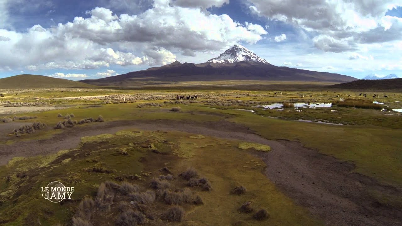 Le Monde de Jamy -  La vie cachée des montagnes - Extrait - Le trésor de l'Altiplano