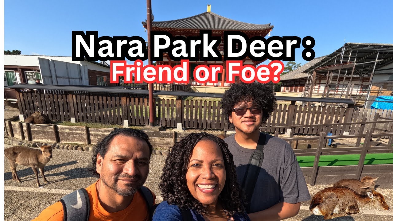 Walking with Deer: A Wild Day at Nara Park!