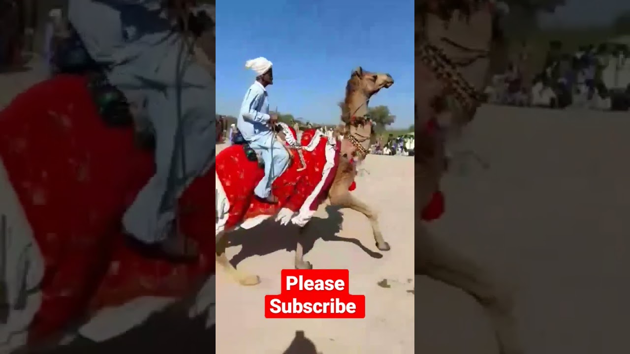 thar festival 