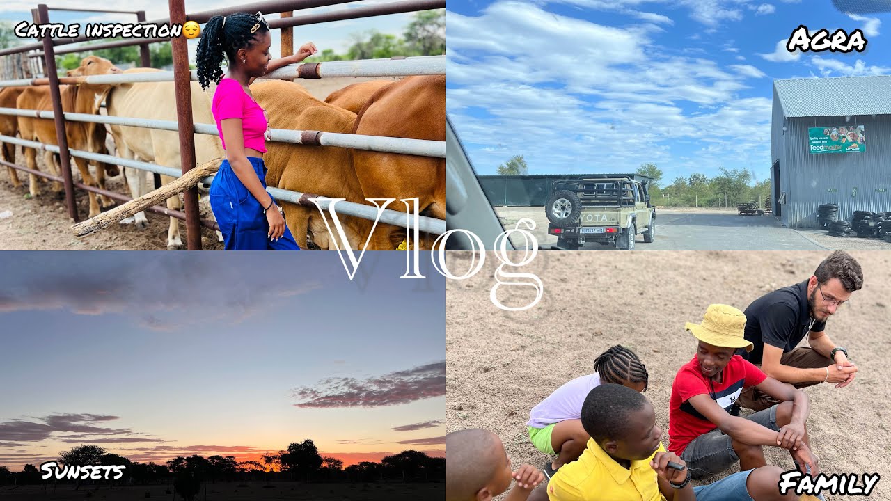 Farm Vlog| Spending a few days at the farm| Inspecting cows & more| NAMIBIAN YOUTUBER