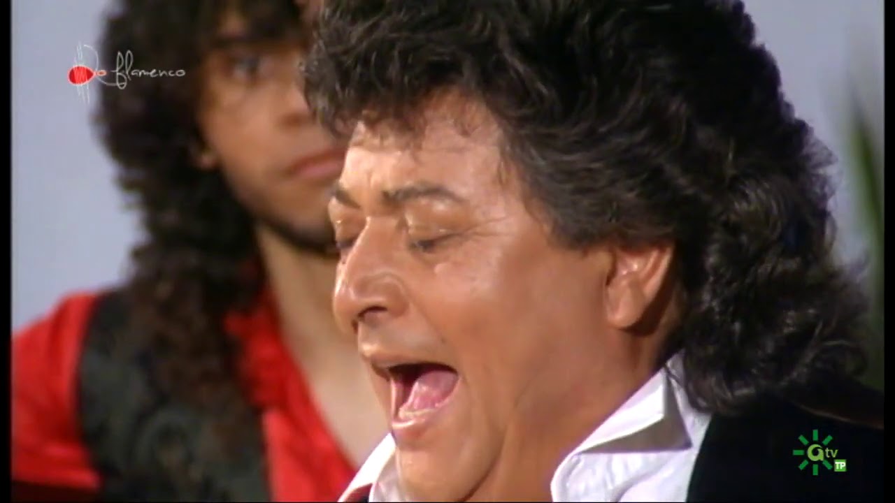Alegrías. Pansequito. 1991