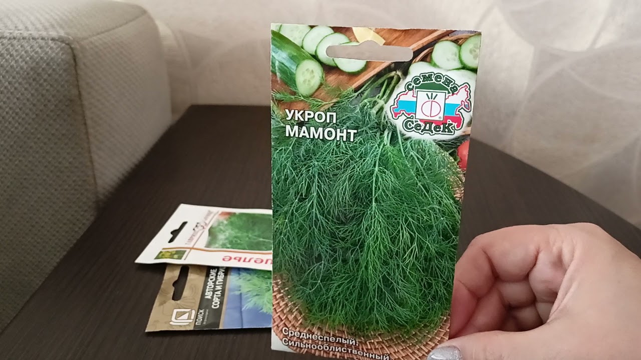 Лучшие сорта укропа.25.09.2021