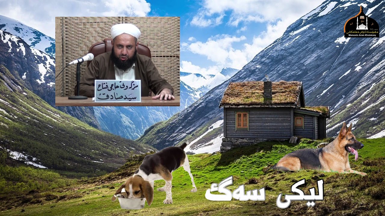 لیکی سەگ چییە؟وەڵامدانەوەی پرسیارووەڵامی شەرعی.مامۆستائارام خەلەکانی