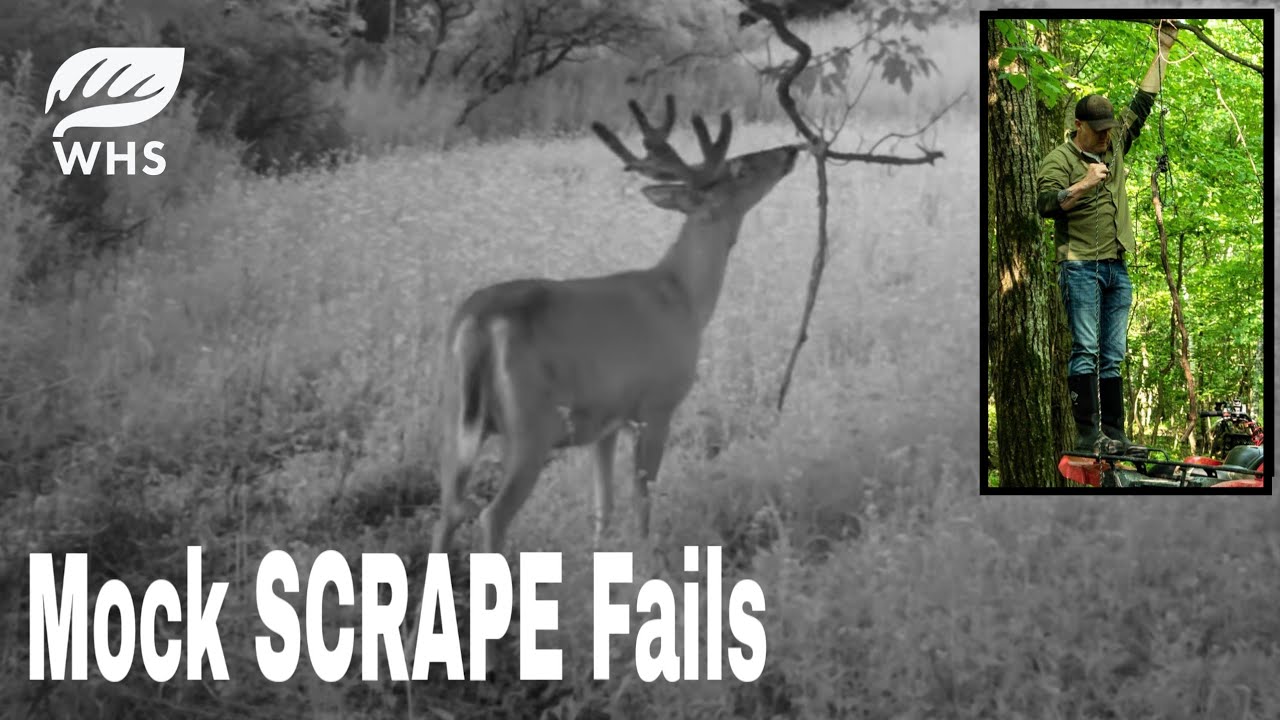 Top 8 Mock Scrape Fails