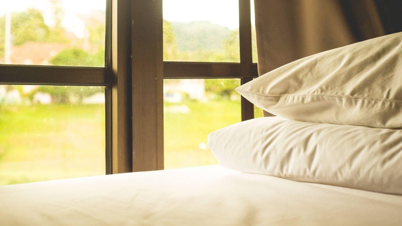 Traveller Bunker Hostel 1, Tanah Rata, Malaysia | Travel With Bhavya