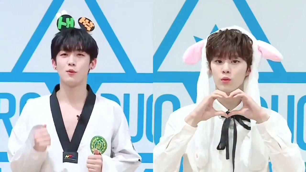 yohan 🐰 wooseok 🐱 yocat producex101 moments
