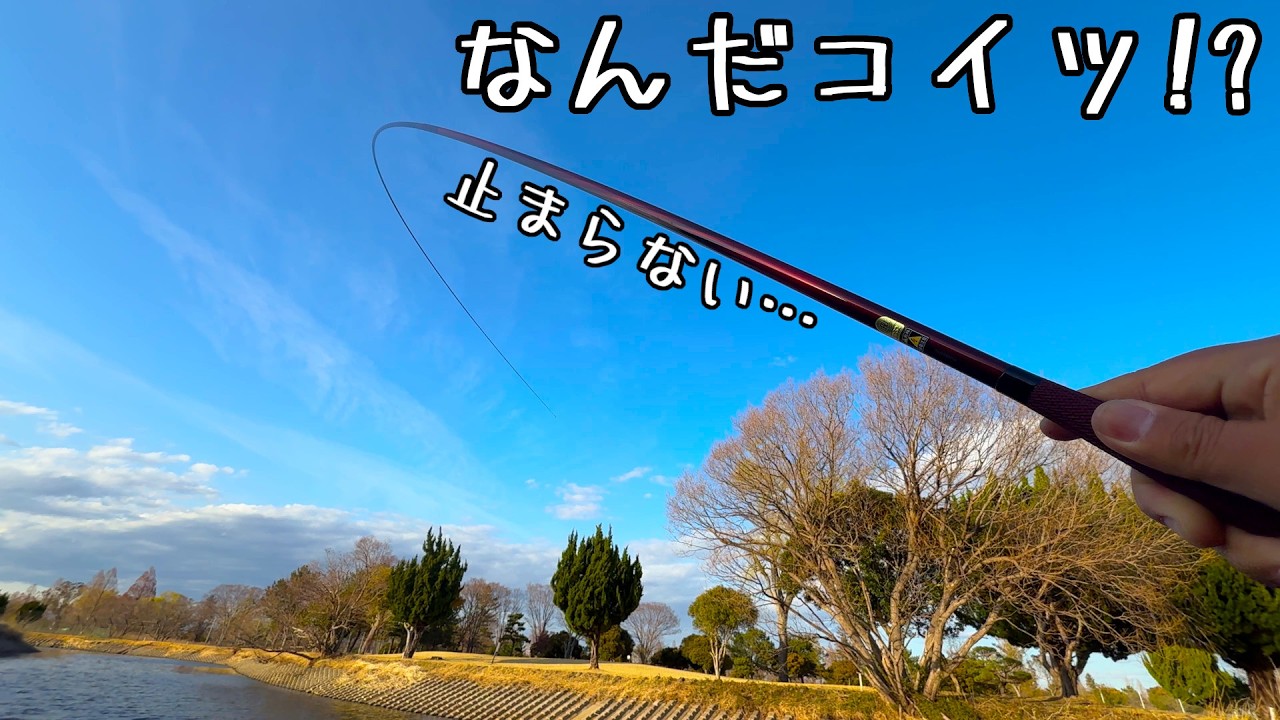 腕の限界。茨城じゃない谷田川でへらぶな釣りしたらやばかった