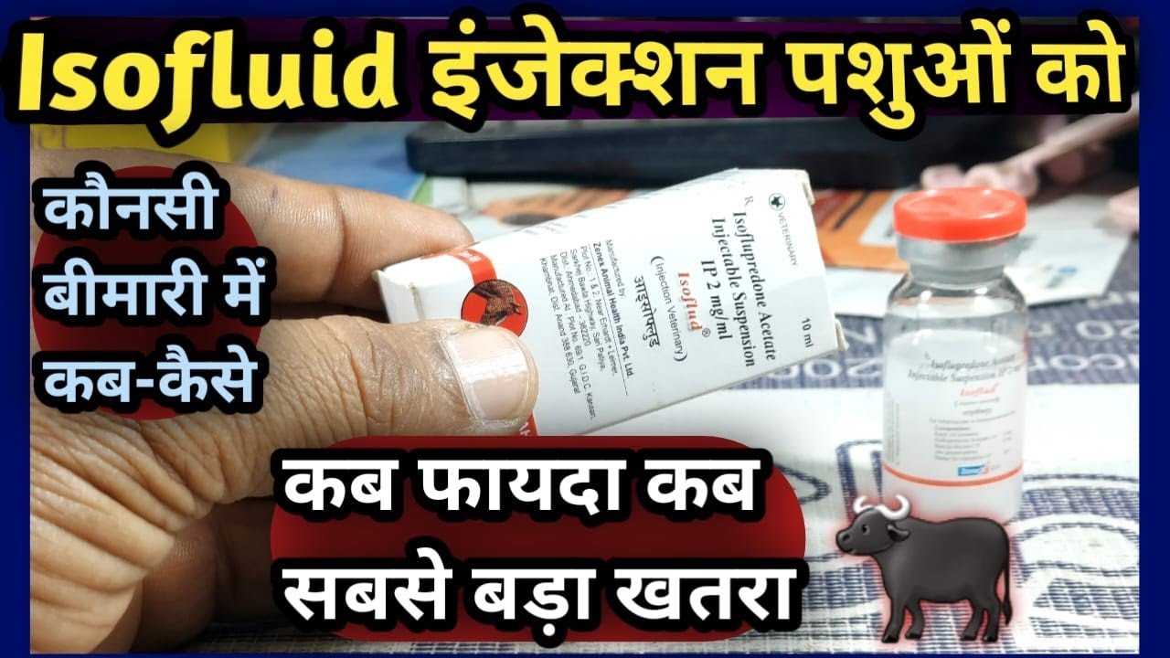 Isofluid injection/isoflupredone Acetate पशुओं को कौन सी बीमारियों में कब फायदा कब सबसे बड़ा खतरा