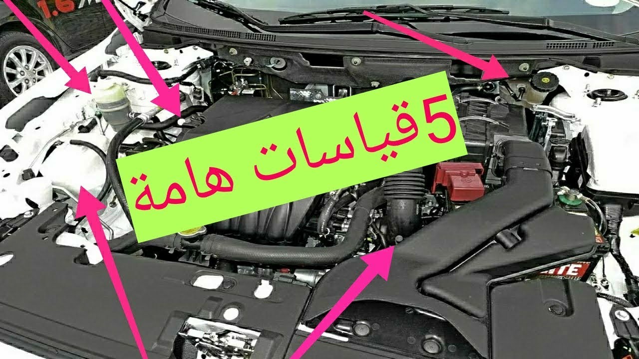 الطريقة الصحيحة لقياس زيوت السيارة