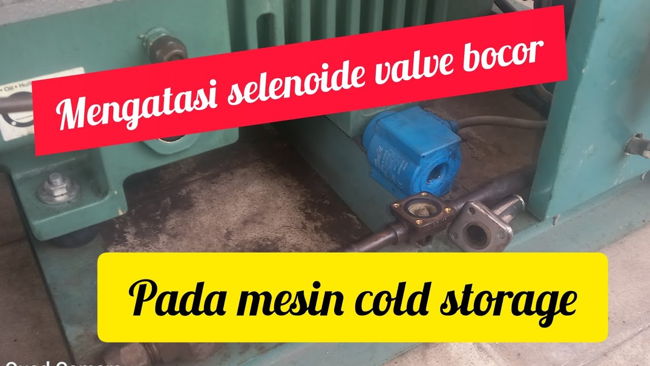 selenoide  #coldstorage  bocor  Solusinya mudah meriah ❗