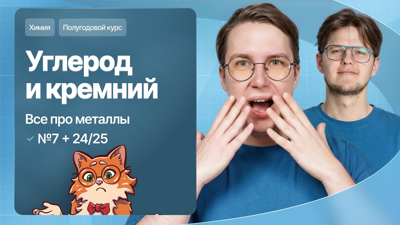 12. Химия элементов. Углерод, кремний и все про металлы | Полугодовой курс | Степенин и Дацук