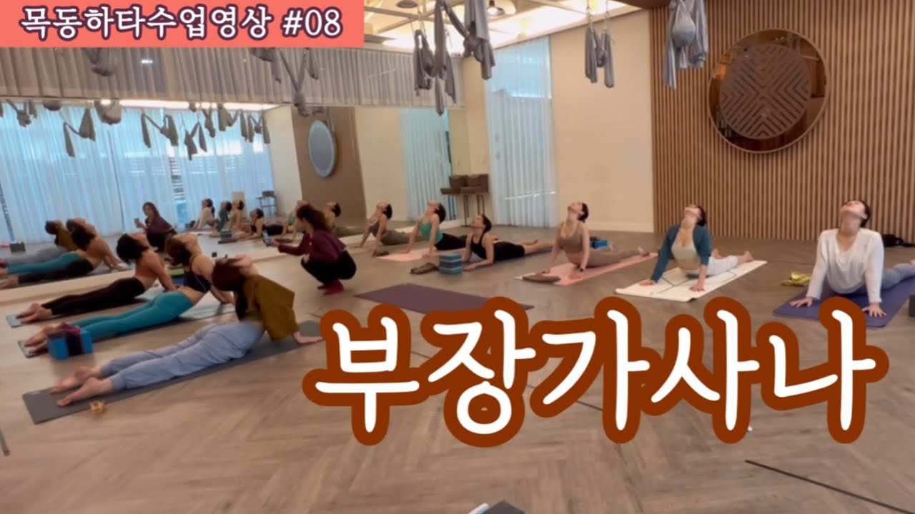 [엔젤요가] 목동하타 수업영상 #08 | 부장가사나