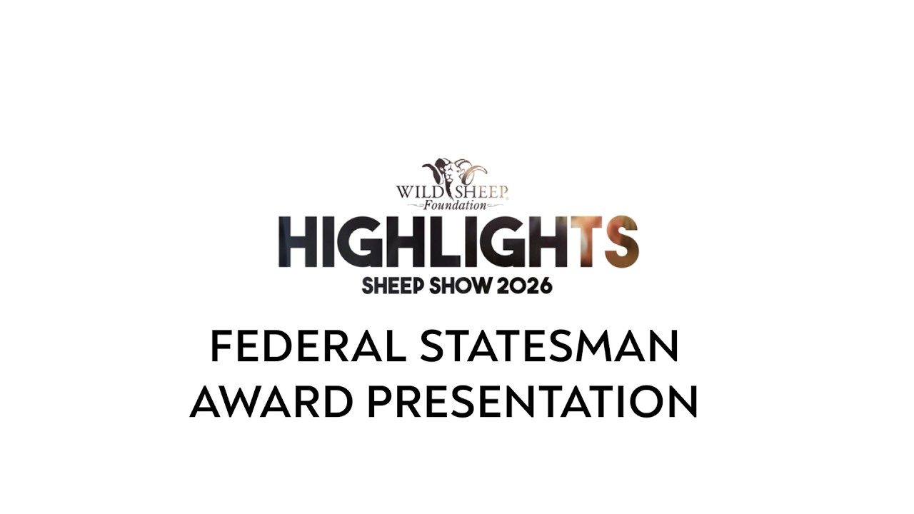 FRI04 Премия федерального государственного деятеля