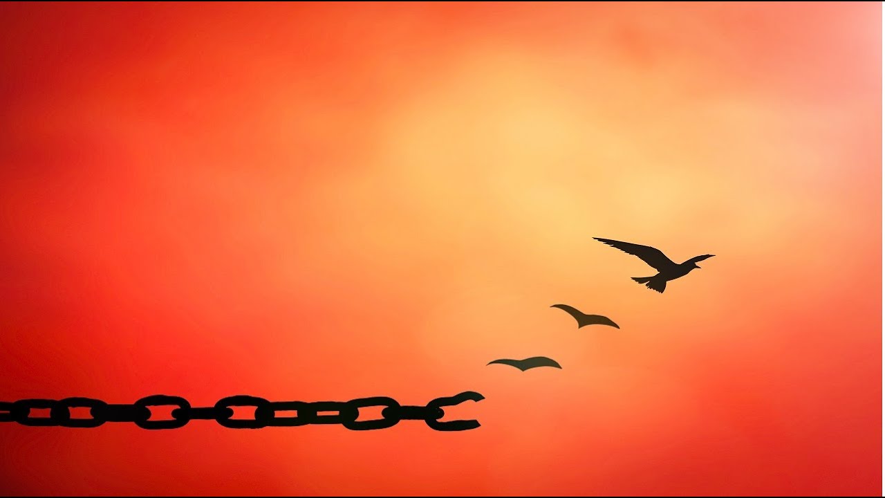 Forgiveness Guided Meditation - Forgive others, forgive yourself By Jason Stephenson
