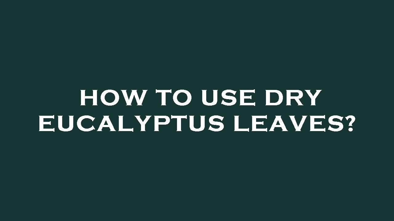 How to use dry eucalyptus leaves?